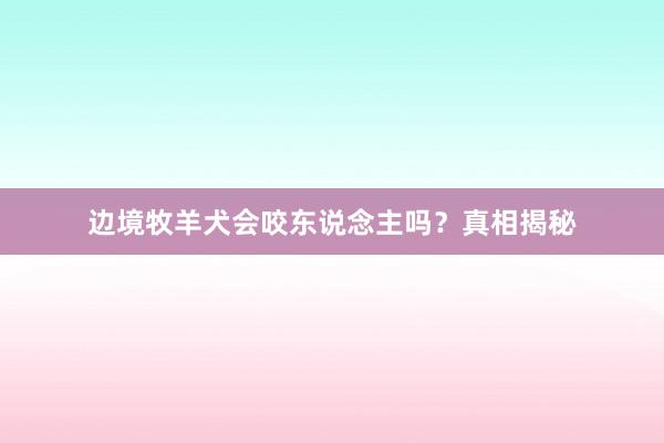 边境牧羊犬会咬东说念主吗？真相揭秘