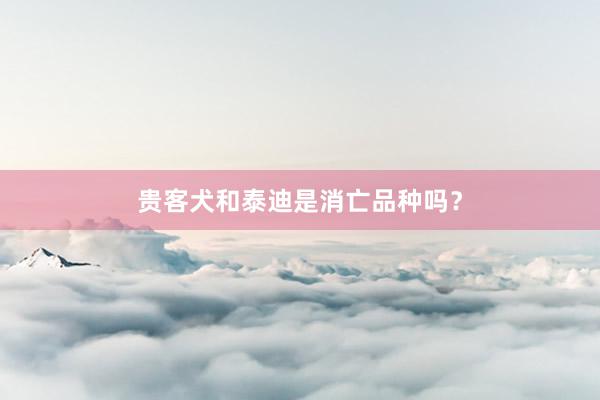 贵客犬和泰迪是消亡品种吗？